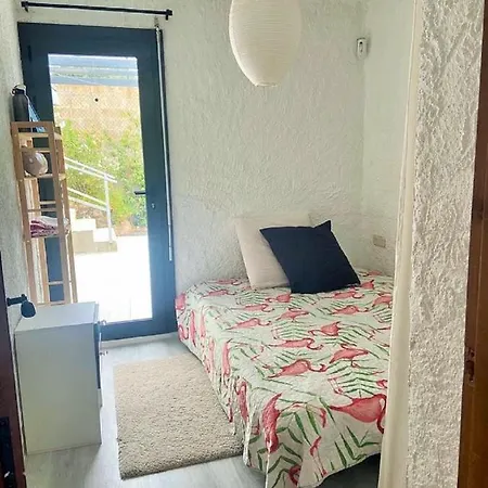 Alaya Gerona